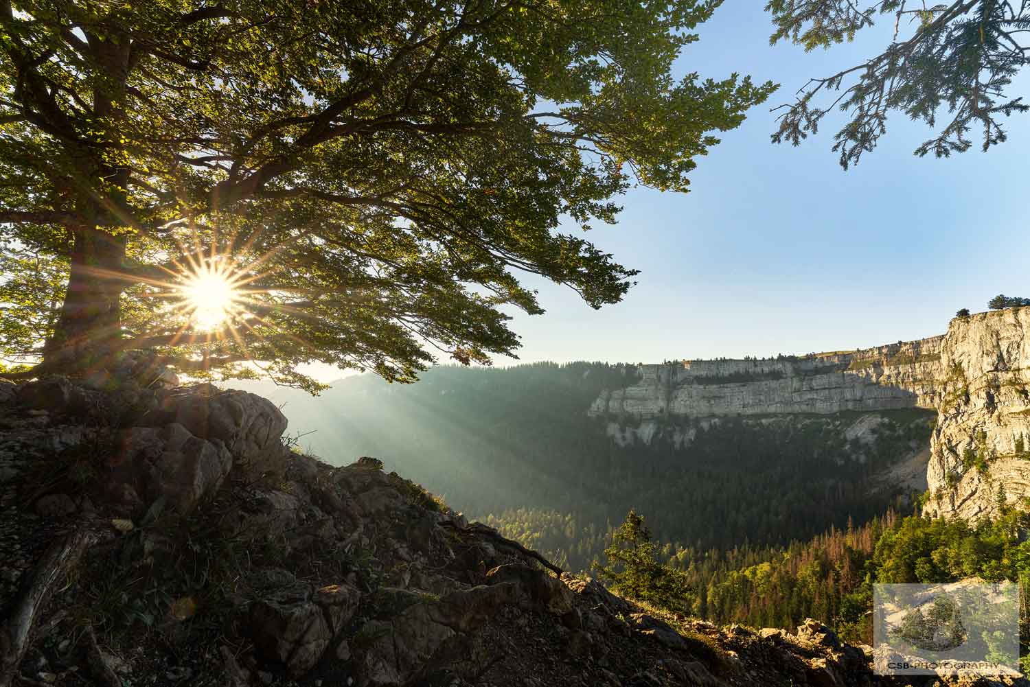 Morgenstimmung am Creux du Van