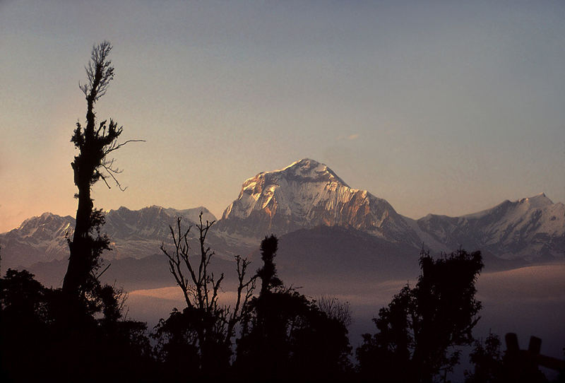 Morgenstimmung am Dhaulagiri.