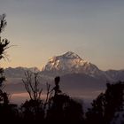 Morgenstimmung am Dhaulagiri.