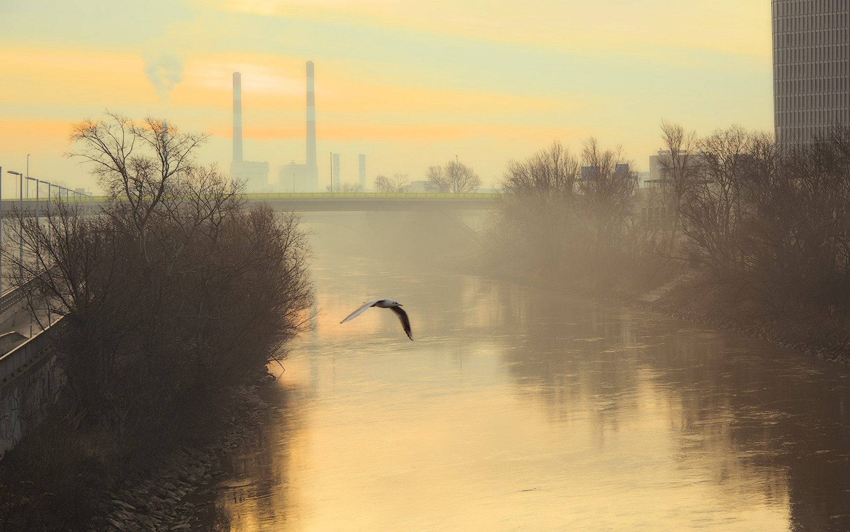 Morgenstimmung am Donaukanal