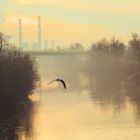 Morgenstimmung am Donaukanal