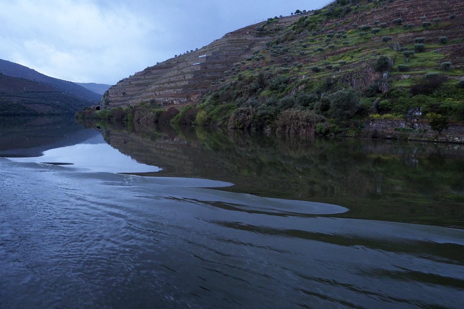 Morgenstimmung am Douro