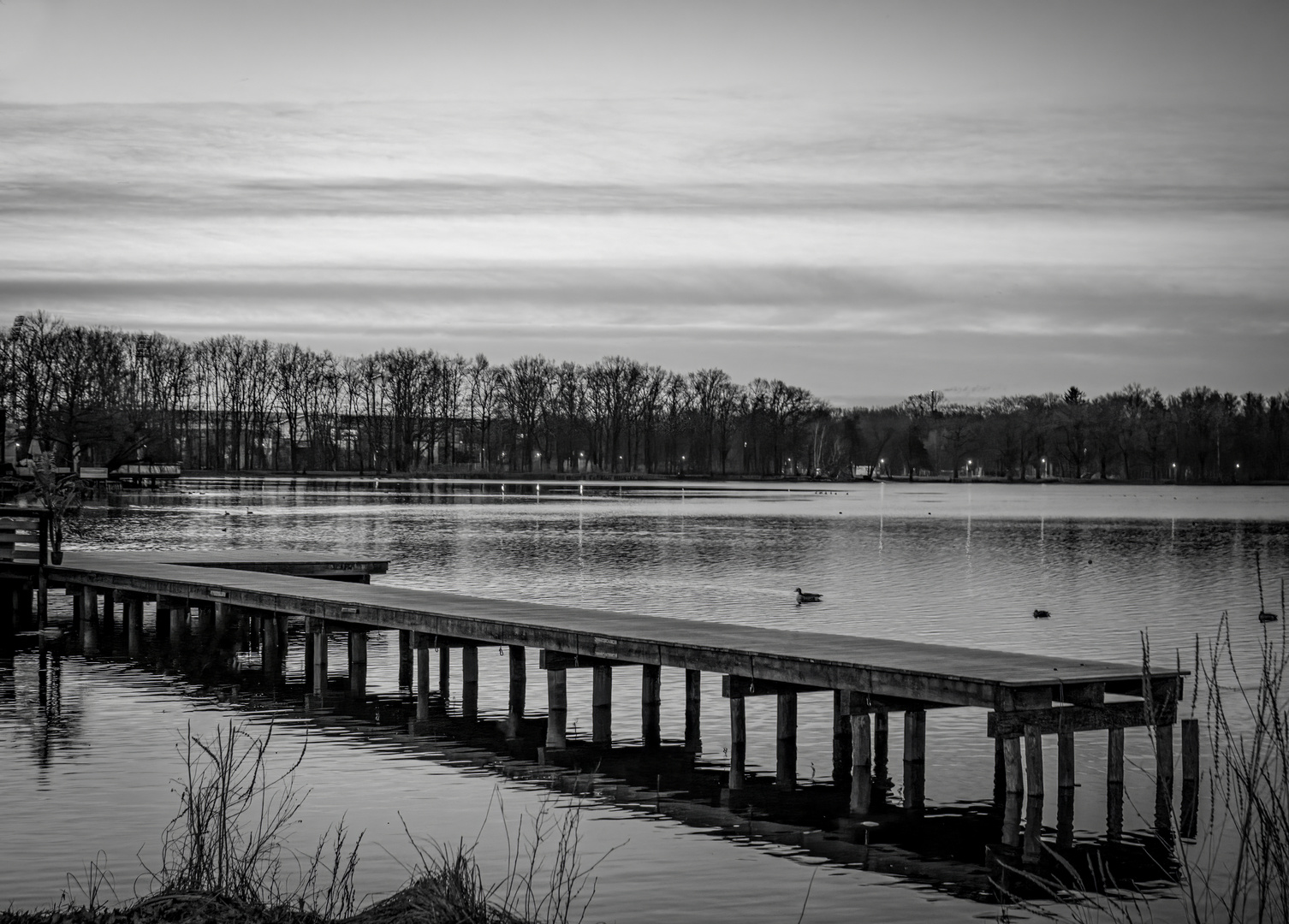 Morgenstimmung am Dutzendteich 