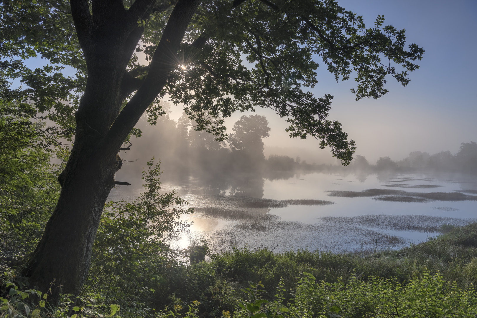 *Morgenstimmung am Eichholzmaar*