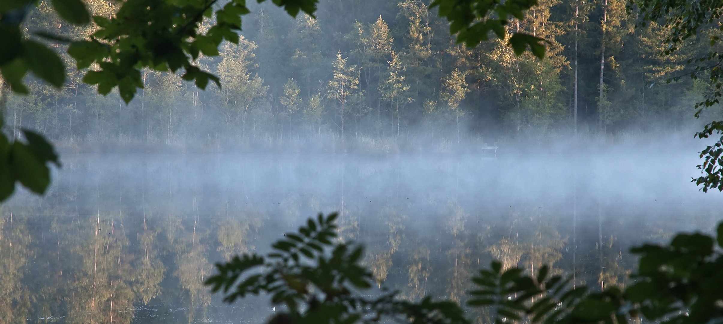 Morgenstimmung am Eitzenberger Weiher