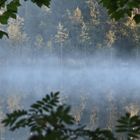 Morgenstimmung am Eitzenberger Weiher