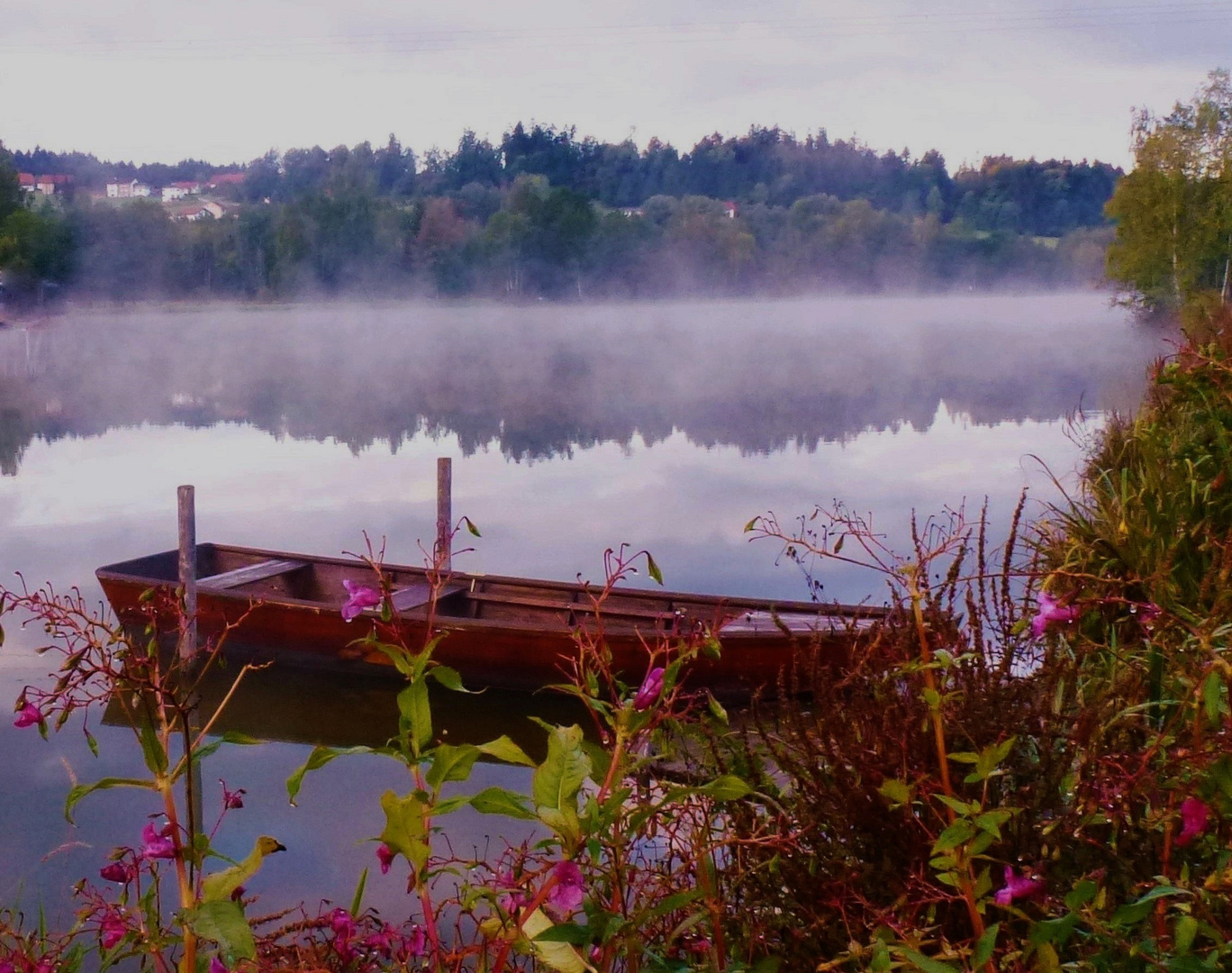 Morgenstimmung am Erlauzwiesler See