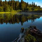 Morgenstimmung am Etang