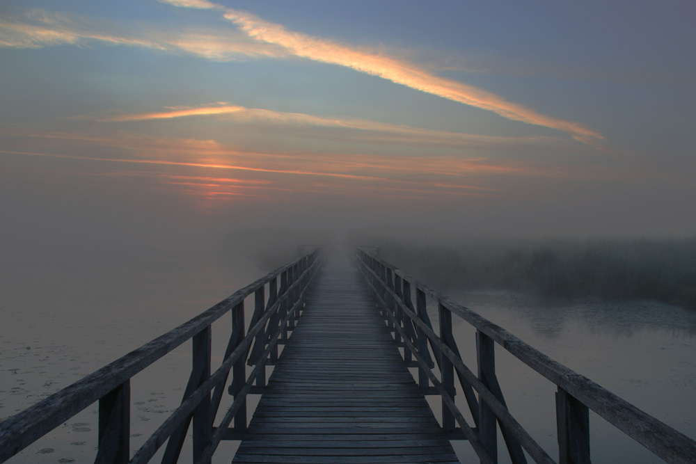 Morgenstimmung am Federsee