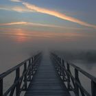 Morgenstimmung am Federsee