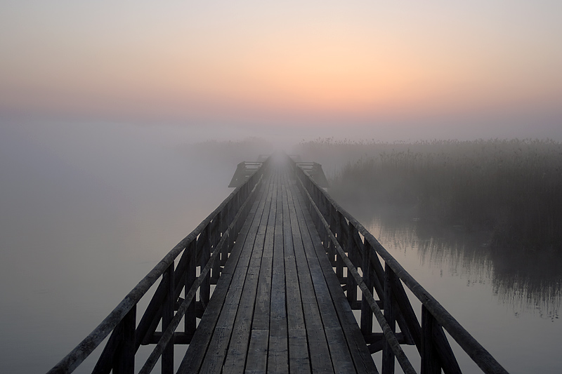 Morgenstimmung am Federsee