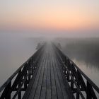 Morgenstimmung am Federsee