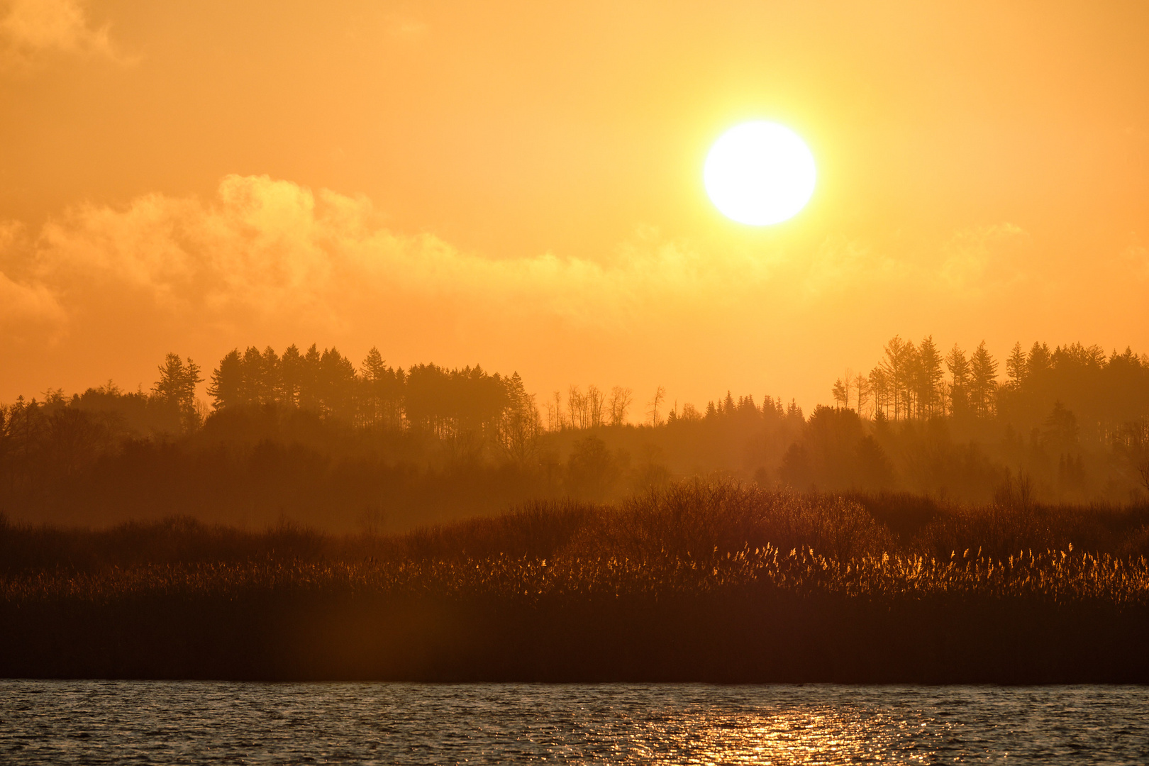 Morgenstimmung am Federsee