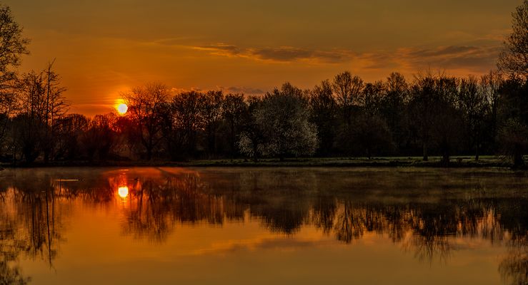 Morgenstimmung am Fischteich 001