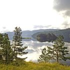 Morgenstimmung am Fjord