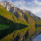 Morgenstimmung am Fjord