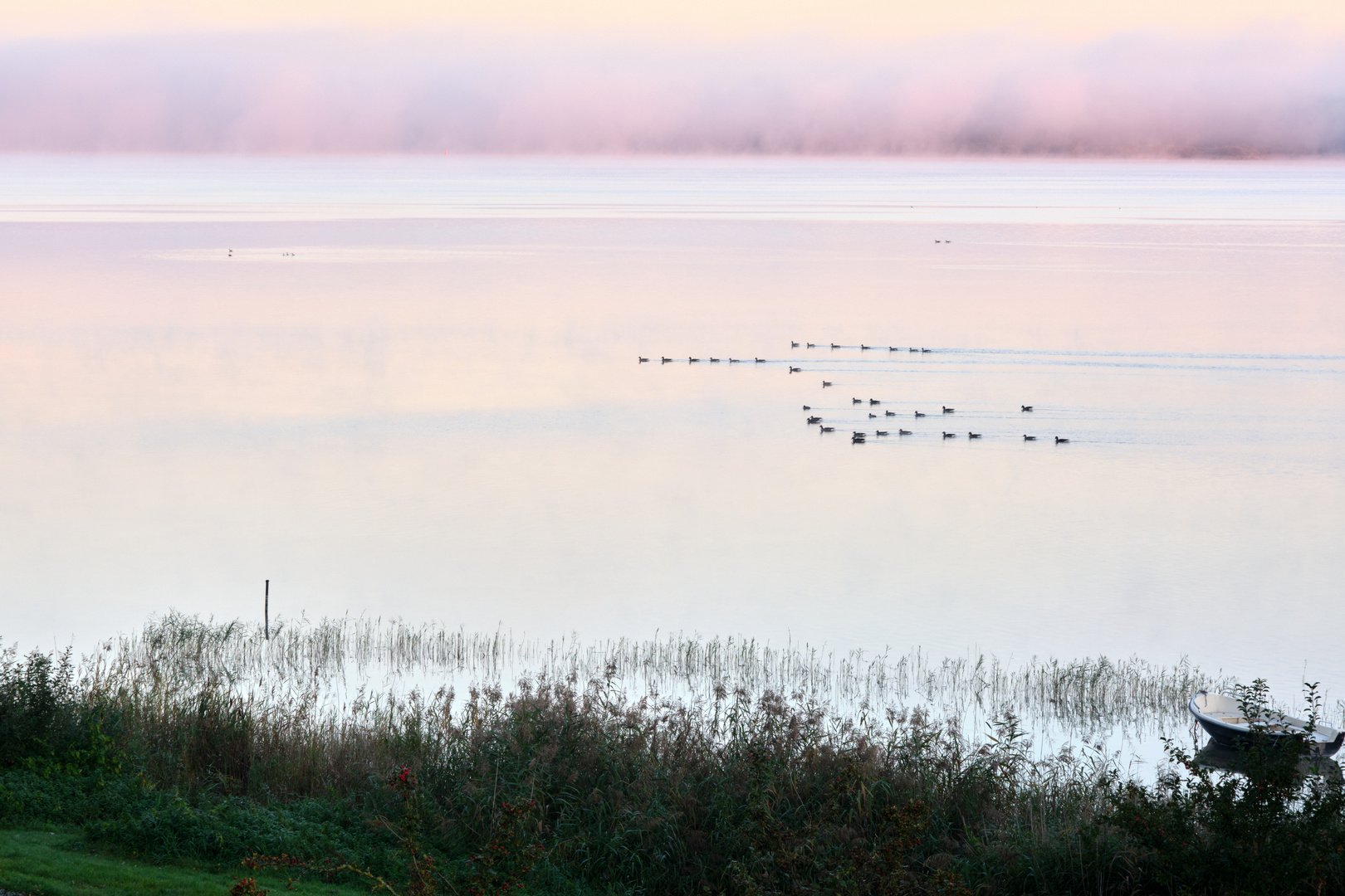 Morgenstimmung am Fleesensee