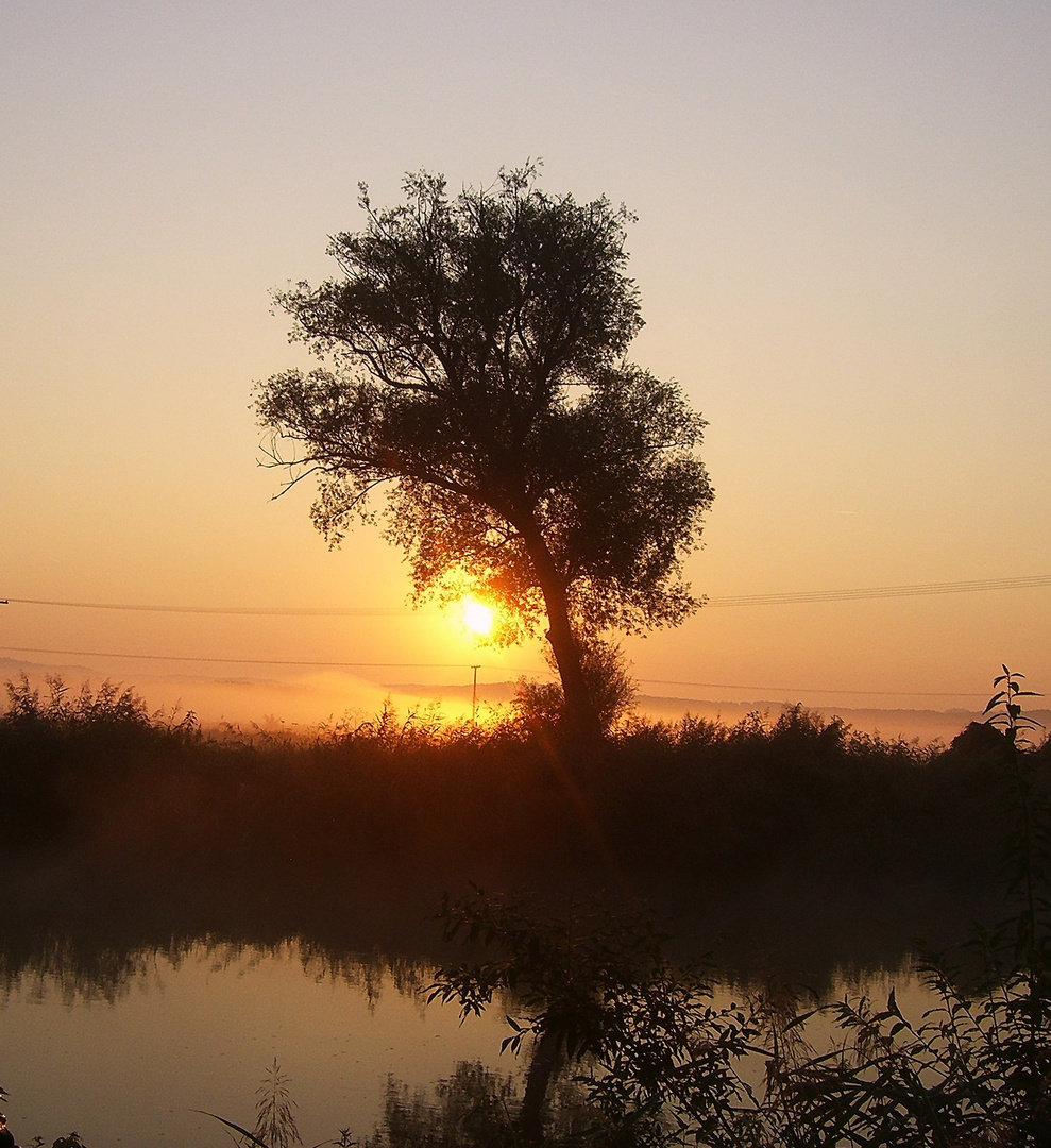 Morgenstimmung am Fluß