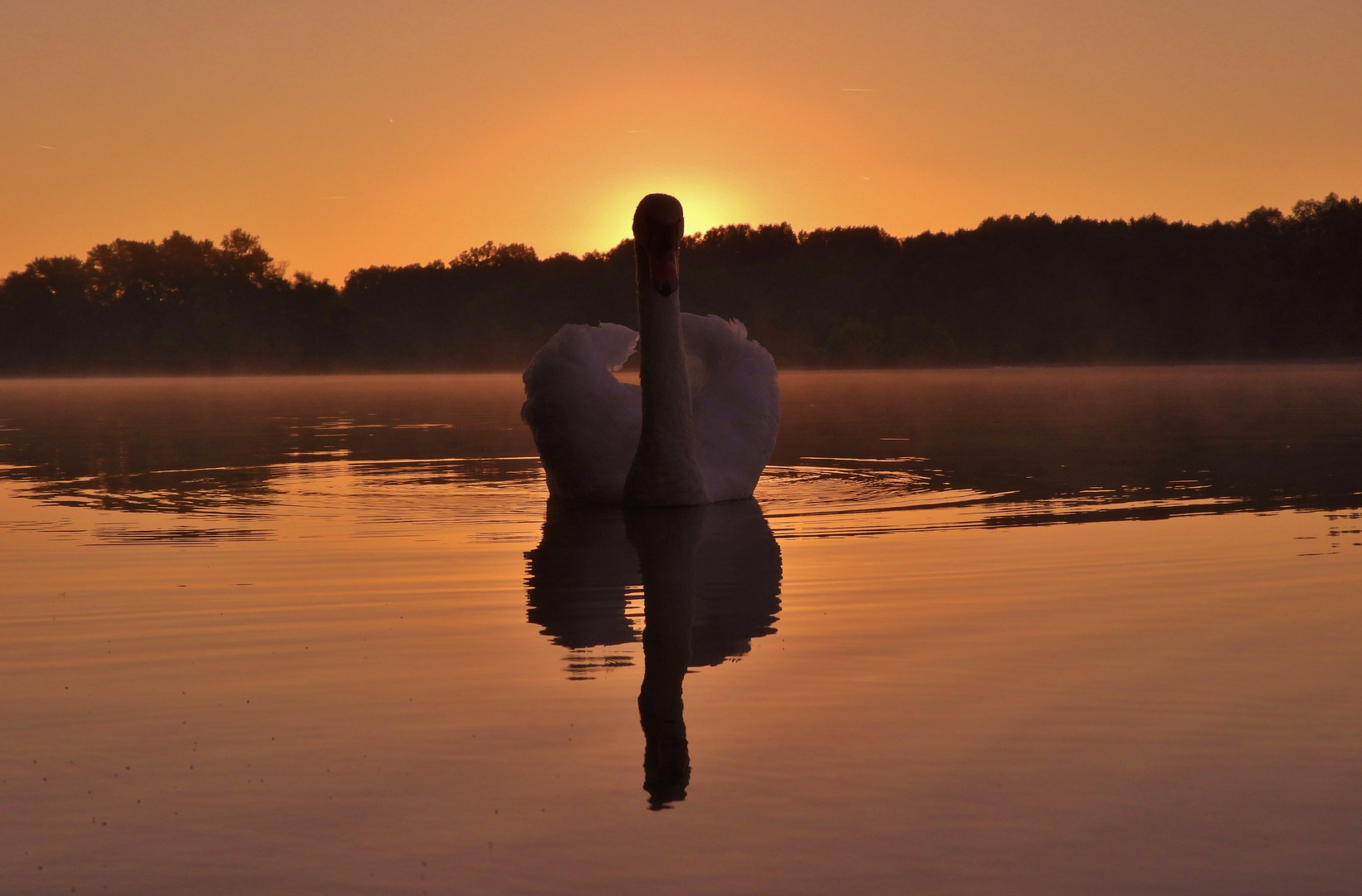 Morgenstimmung am Fluss_01