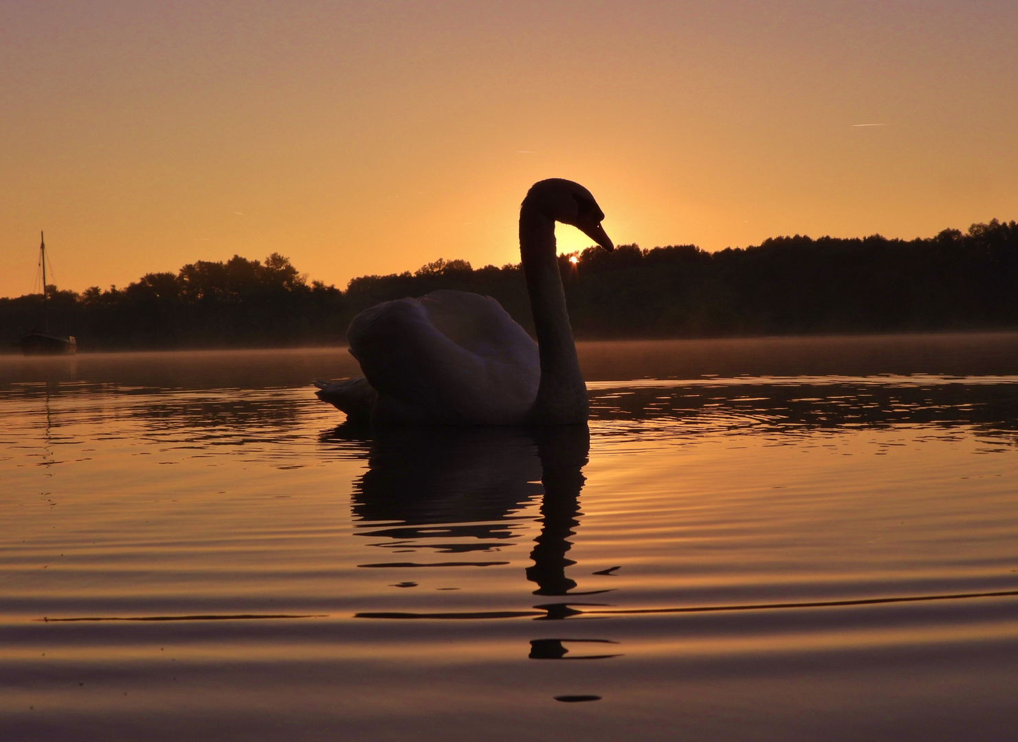 Morgenstimmung am Fluss_02