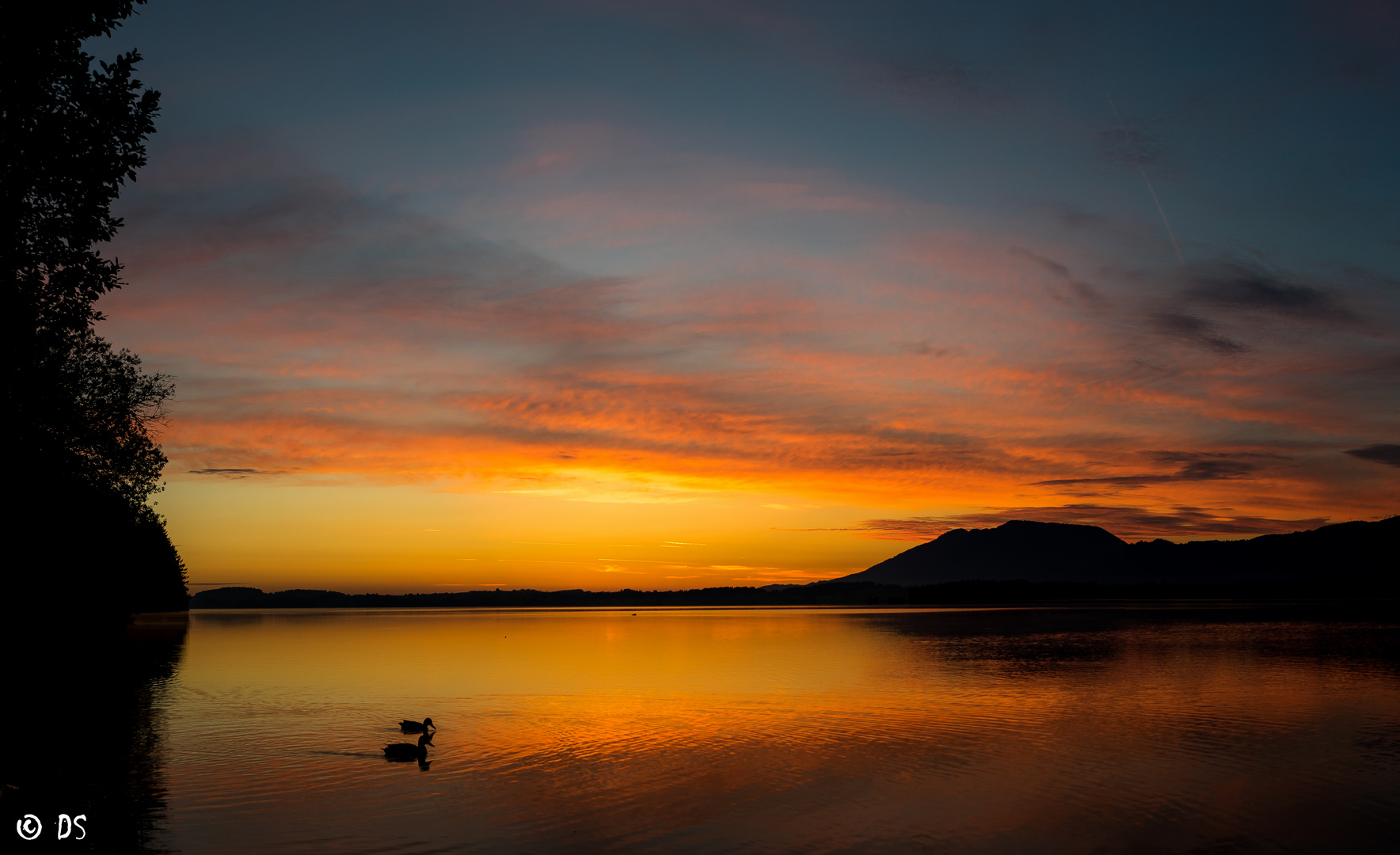 Morgenstimmung am Forggensee