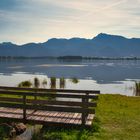 Morgenstimmung am Forggensee / Allgäu