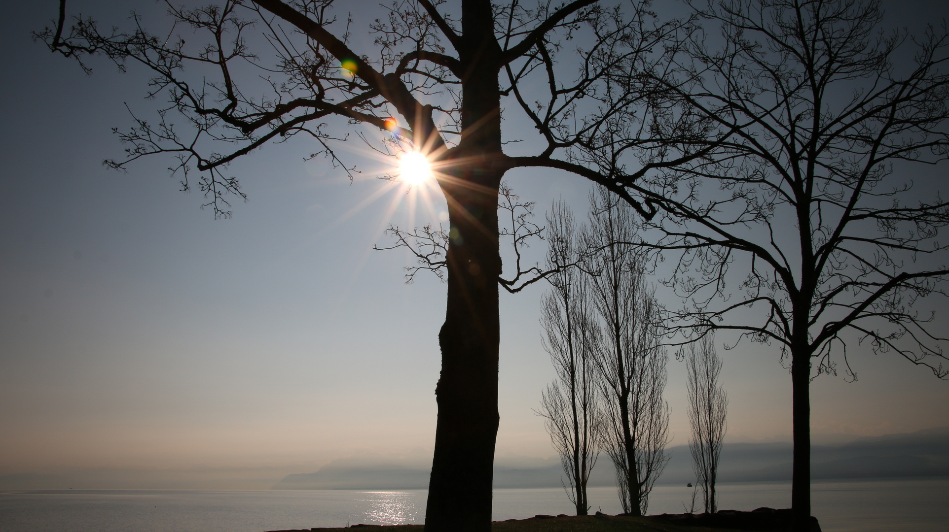 Morgenstimmung am Genfersee