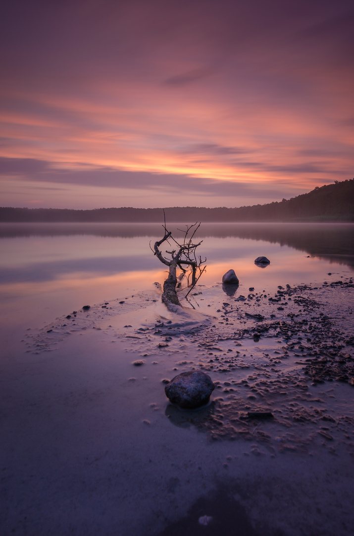 Morgenstimmung am Gorinsee