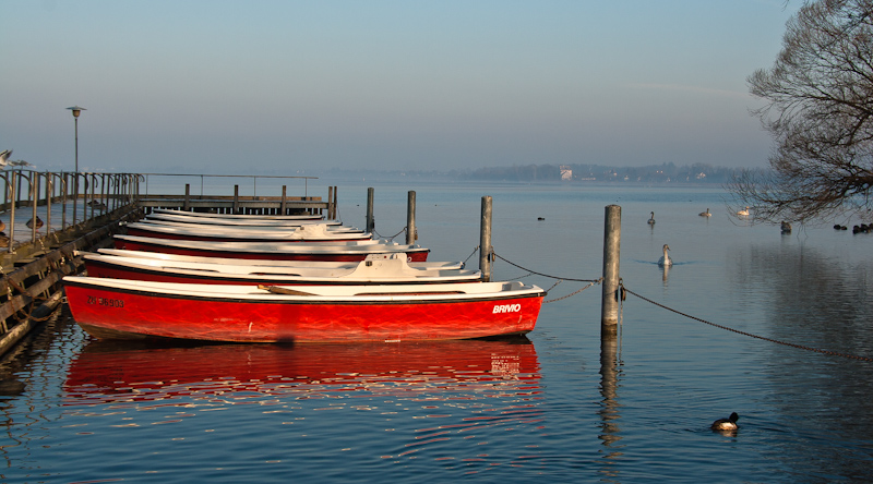 Morgenstimmung am Greifensee