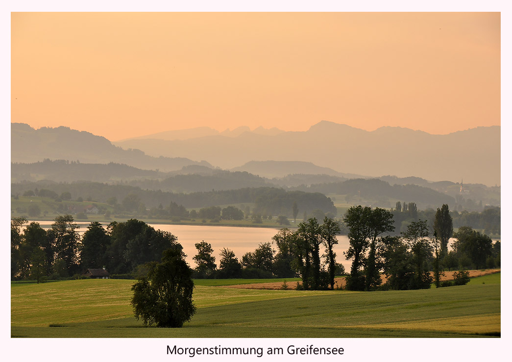 Morgenstimmung am Greifensee