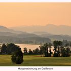 Morgenstimmung am Greifensee