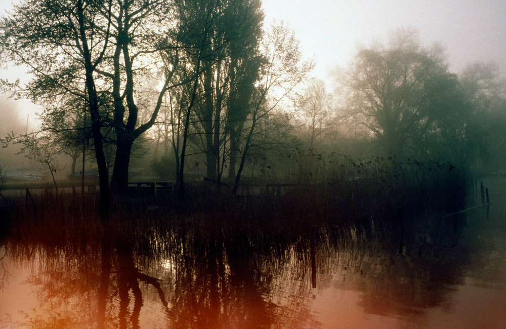 Morgenstimmung am Greifensee ( Schweiz)