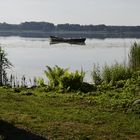 Morgenstimmung am Groß Schauener See