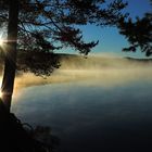 Morgenstimmung am Hällsjö - Schweden