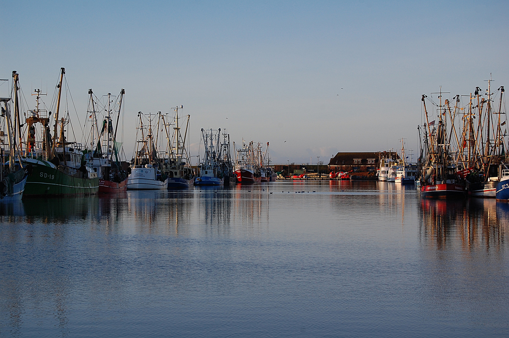 Morgenstimmung am Hafen