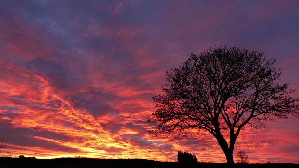 Morgenstimmung am Heiligabend