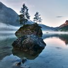 Morgenstimmung am Hintersee