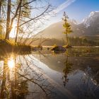 Morgenstimmung am Hintersee