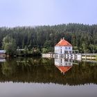 Morgenstimmung am Höllsteinsee