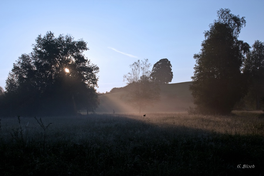 Morgenstimmung am Hopfensee