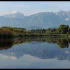 Morgenstimmung am Hopfensee