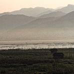 Morgenstimmung am Inle See