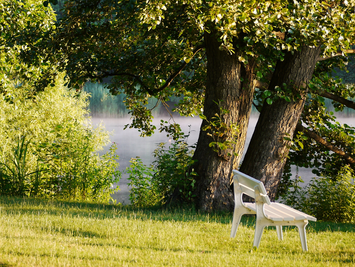 Morgenstimmung am Kellersee (Ostholstein)