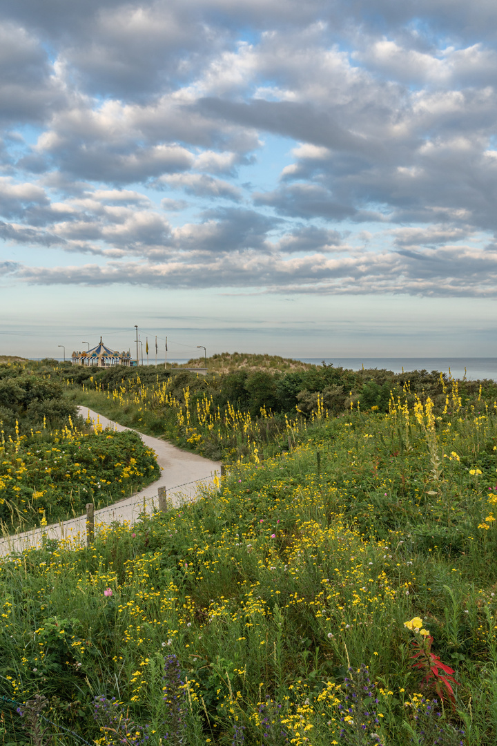 Morgenstimmung am Kijkduin Beach