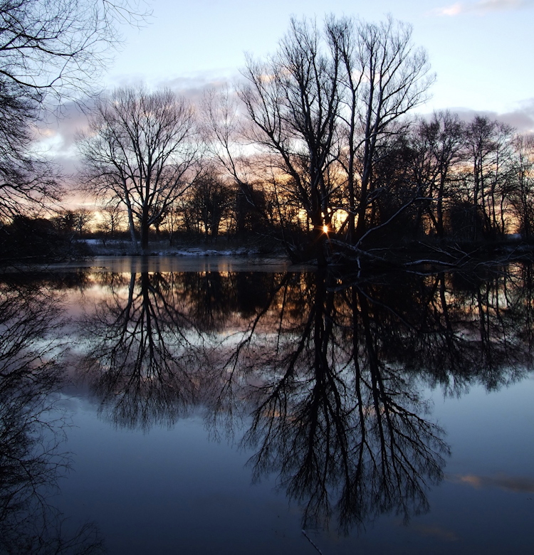 Morgenstimmung am kleinen See