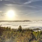 Morgenstimmung am Kohlberg