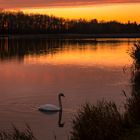 Morgenstimmung am Kuhsee