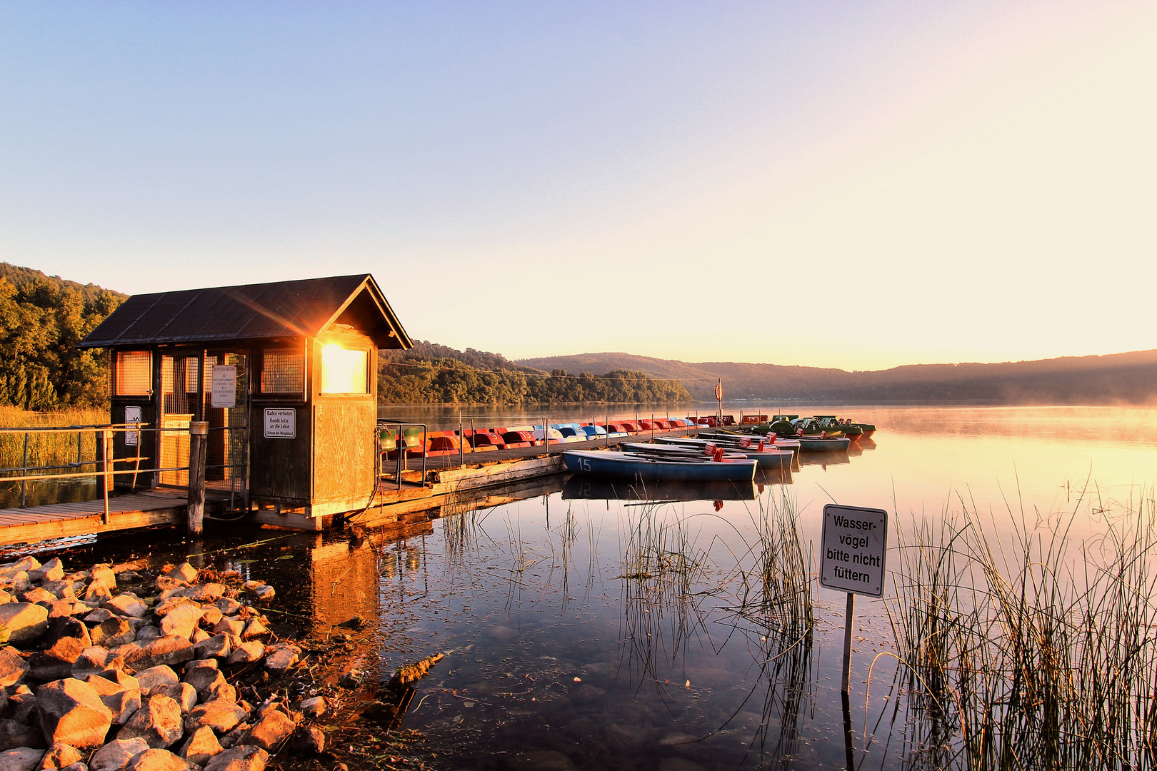 Morgenstimmung am Laacher See