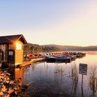 Morgenstimmung am Laacher See