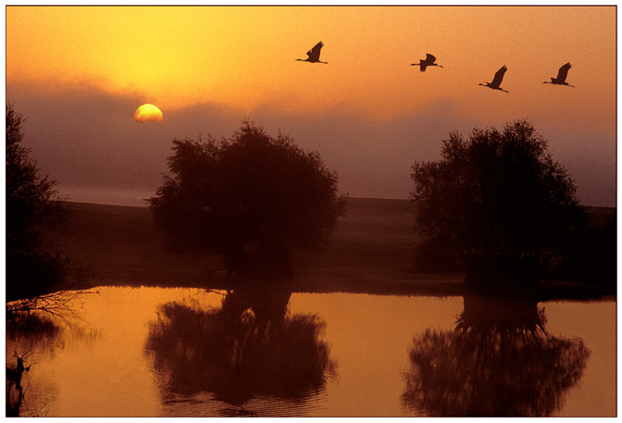 Morgenstimmung am Lac de Dér